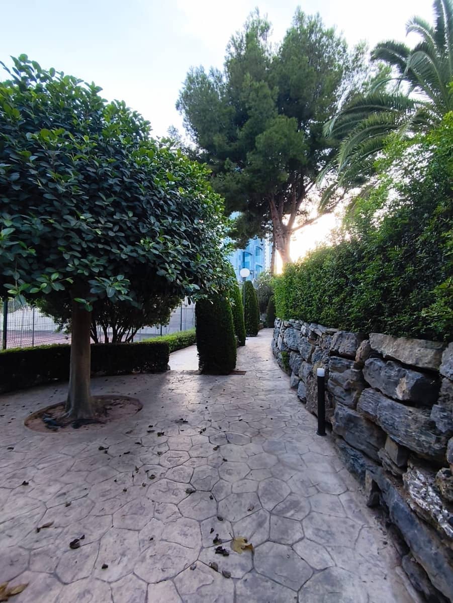 2 Zimmer Apartment zu verkaufen in Benidorm mit Pool Garage - 250.000 € (Ref: 10141676)