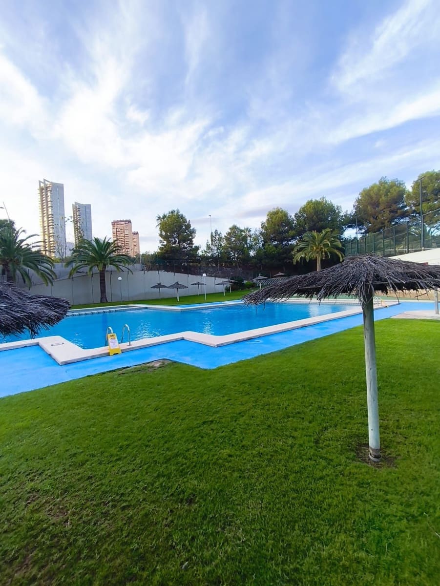 2 Zimmer Apartment zu verkaufen in Benidorm mit Pool Garage - 250.000 € (Ref: 10141676)