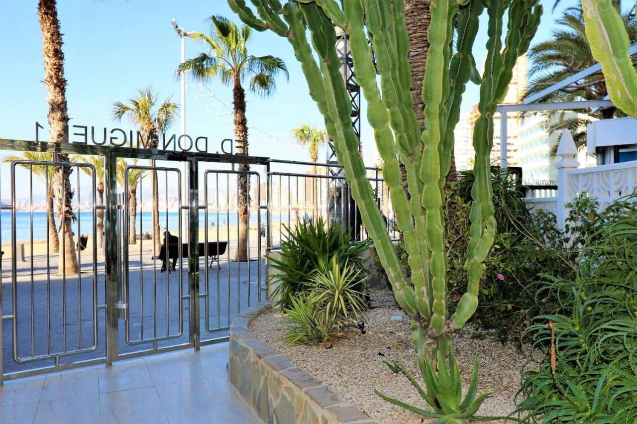 2 sypialnia Apartament do wynajęcia w Benidorm z basenem garażem - 1 400 € (Ref: 7864160)