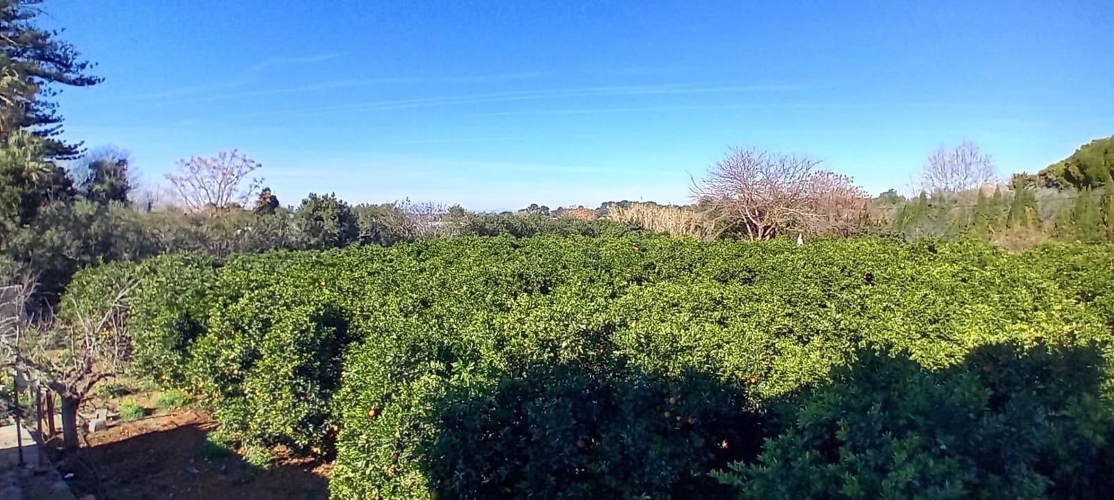 7 soverom Finca/Herregård til salgs i La Xara med svømmebasseng garasje - € 560 000 (Ref: 8053311)