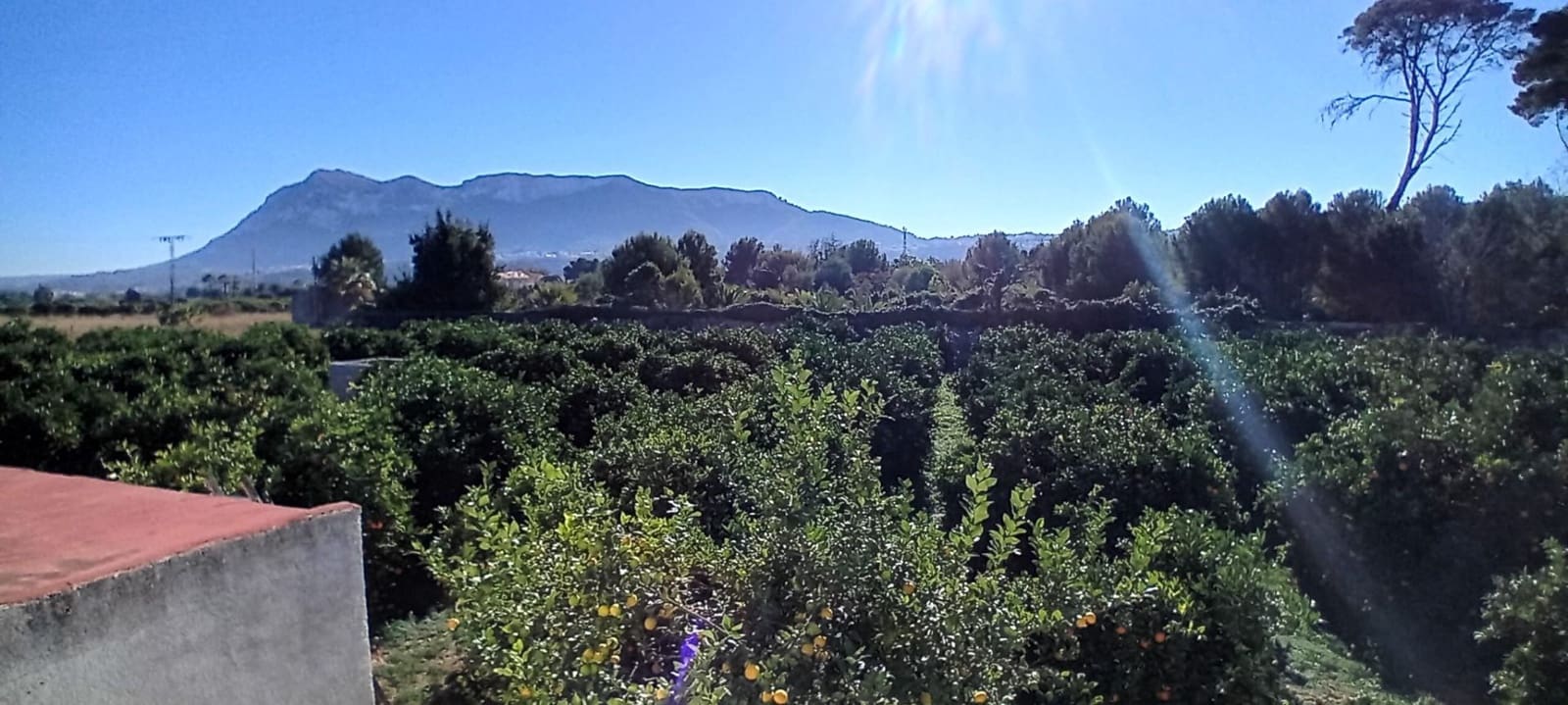 7 soverom Finca/Herregård til salgs i La Xara med svømmebasseng garasje - € 560 000 (Ref: 8053311)