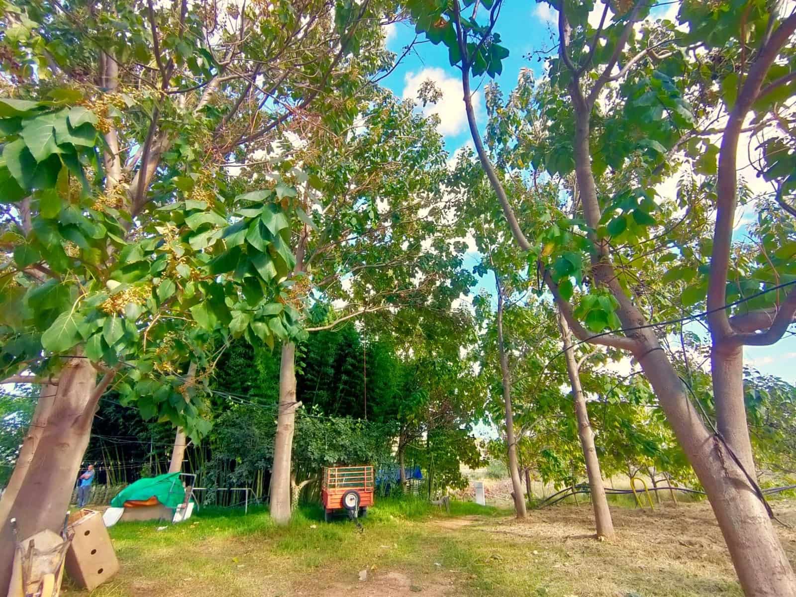 2 chambre Finca/Maison de Campagne à vendre à Polop - 850 000 € (Ref: 8601326)