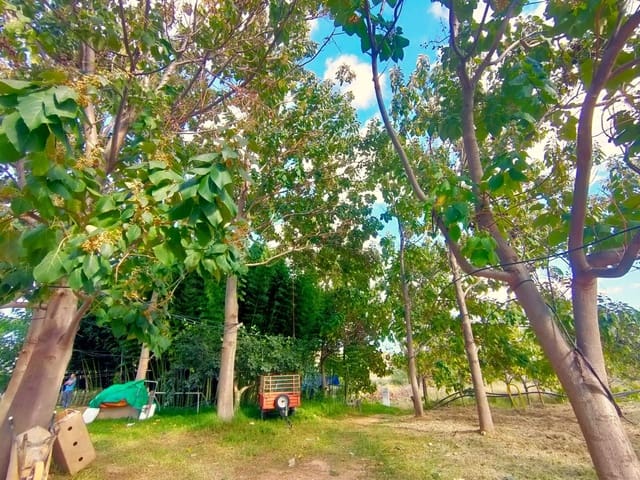 2 bedroom Finca/Country House for sale in Polop - € 850,000 (Ref: 8601326)