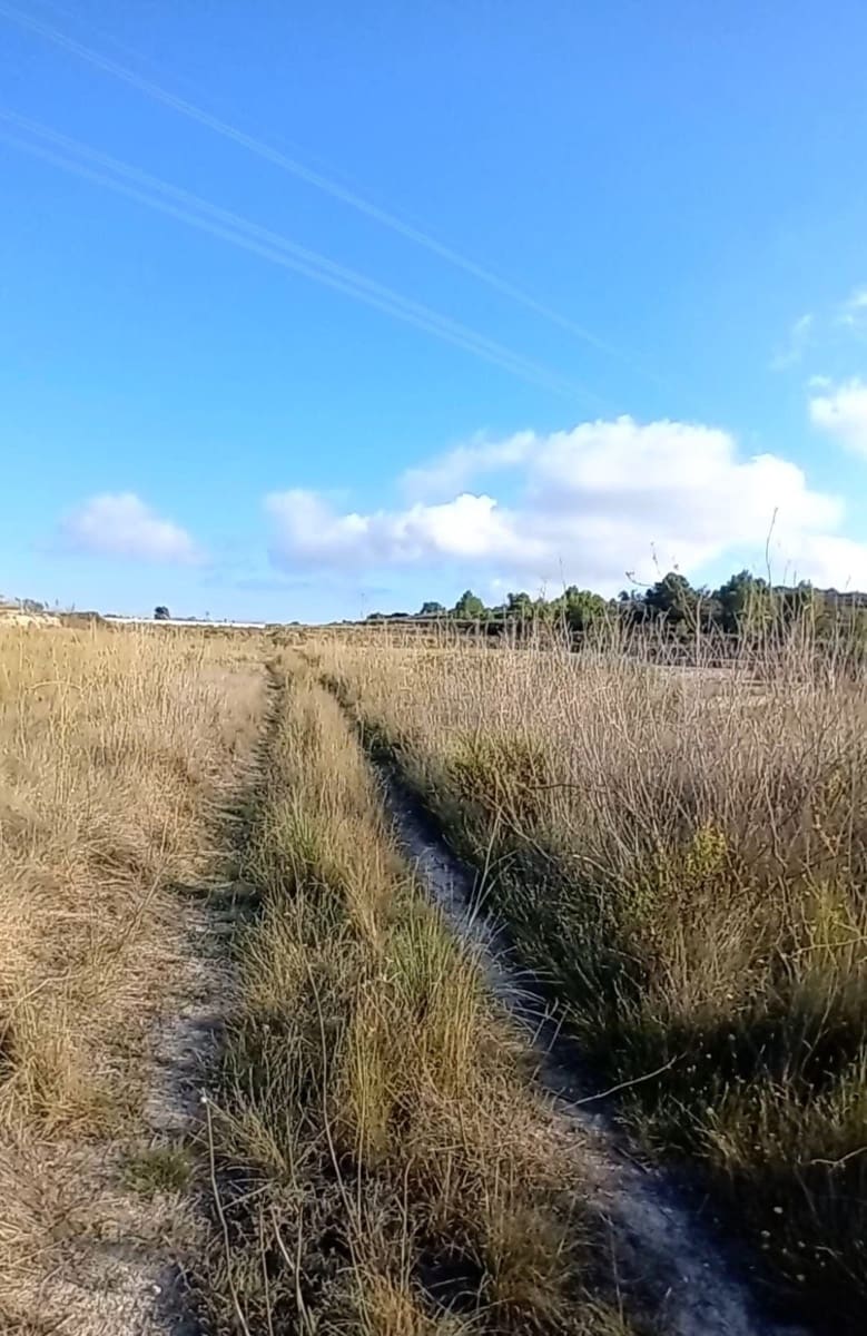 Grunde uden byggetilladelser til salg i Teulada - € 135.000 (Ref: 8668087)