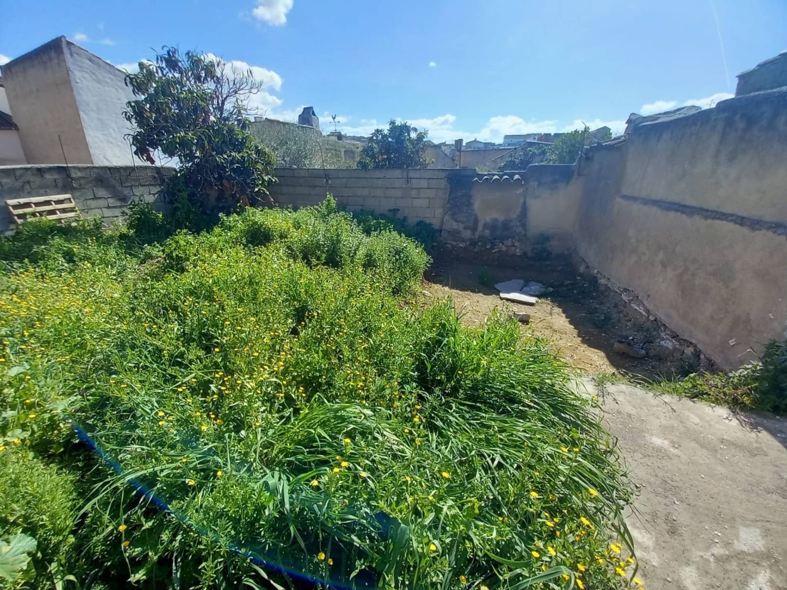 2 soveværelse Byhus til salg i Alcaudete med swimmingpool - € 50.000 (Ref: 9129497)