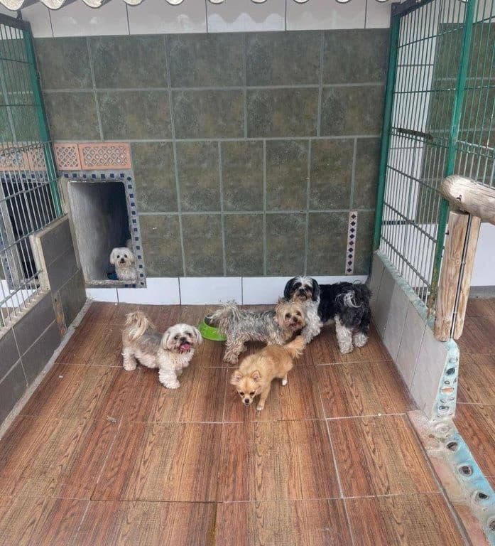 4 sypialnia Finka/Dom wiejski na sprzedaż w Finestrat z garażem - 750 000 € (Ref: 9308246)