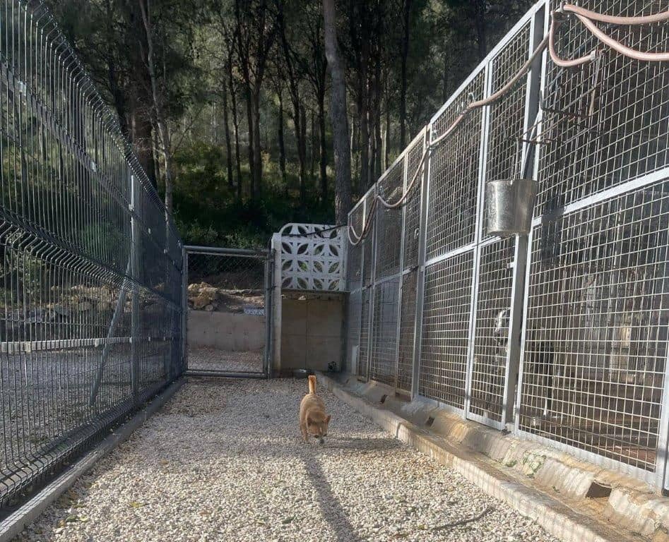 4 sypialnia Finka/Dom wiejski na sprzedaż w Finestrat z garażem - 750 000 € (Ref: 9308246)