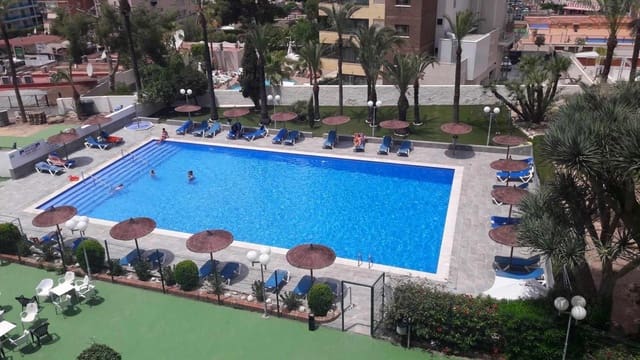 Studio til salg i Benidorm med swimmingpool - € 155.000 (Ref: 9353199)