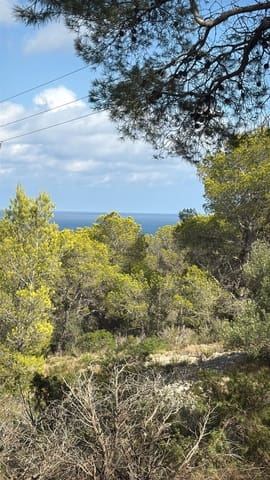 Rakentamaton maa myytävänä paikassa L'Ametlla de Mar - 35 000 € (Ref: 9376696)