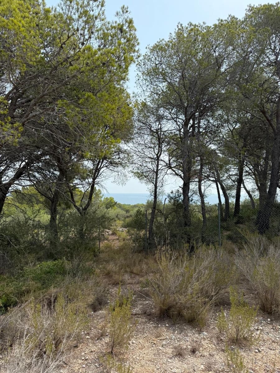 Rakentamaton maa myytävänä paikassa L'Ametlla de Mar - 35 000 € (Ref: 9376696)