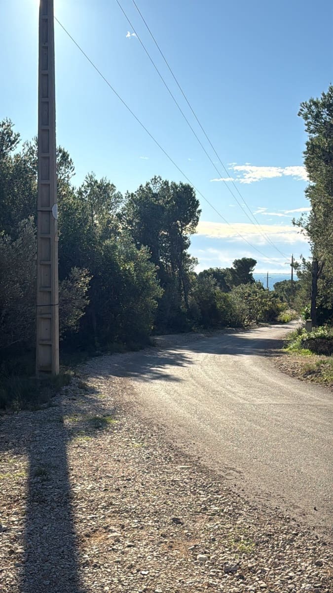 Rakentamaton maa myytävänä paikassa L'Ametlla de Mar - 35 000 € (Ref: 9376696)