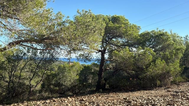 Rakentamaton maa myytävänä paikassa L'Ametlla de Mar - 35 000 € (Ref: 9376696)