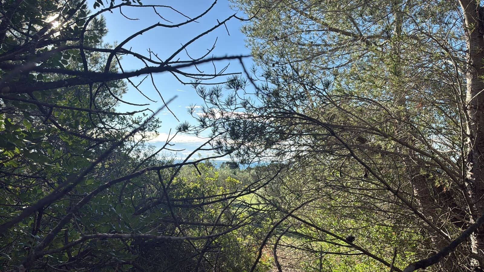 Rakentamaton maa myytävänä paikassa L'Ametlla de Mar - 35 000 € (Ref: 9376696)