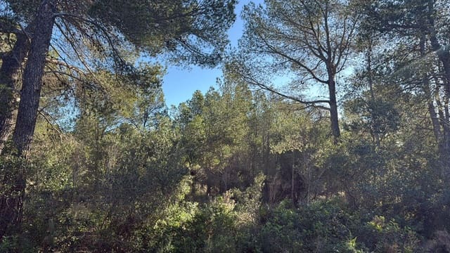 Rakentamaton maa myytävänä paikassa L'Ametlla de Mar - 35 000 € (Ref: 9376696)