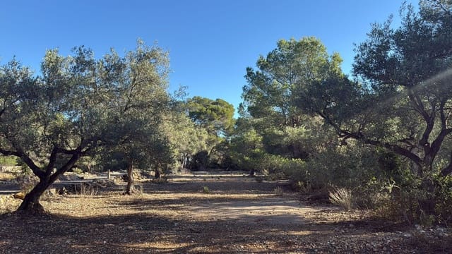 Rakentamaton maa myytävänä paikassa L'Ametlla de Mar - 35 000 € (Ref: 9376696)