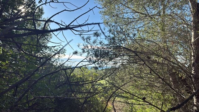 Rakentamaton maa myytävänä paikassa L'Ametlla de Mar - 35 000 € (Ref: 9376696)