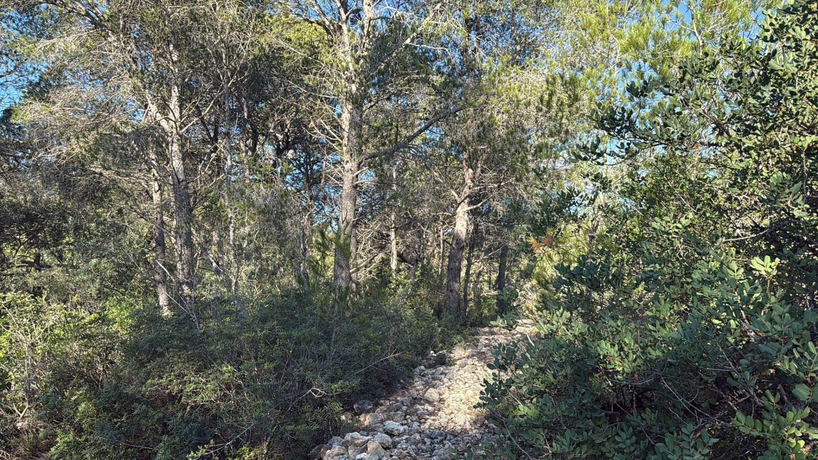 Rakentamaton maa myytävänä paikassa L'Ametlla de Mar - 35 000 € (Ref: 9376696)