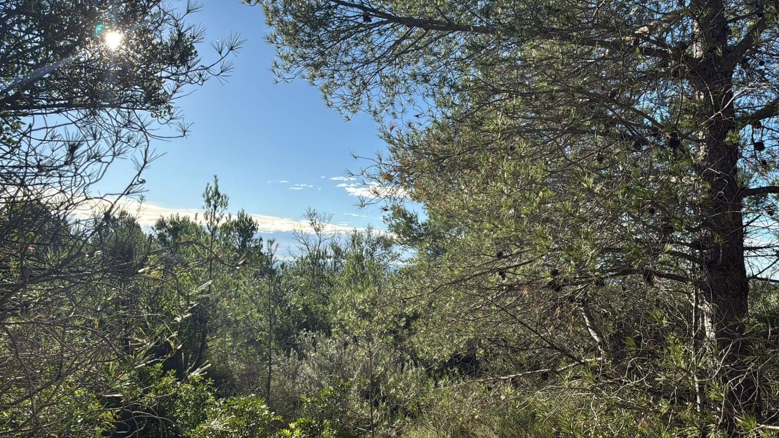 Rakentamaton maa myytävänä paikassa L'Ametlla de Mar - 35 000 € (Ref: 9376696)