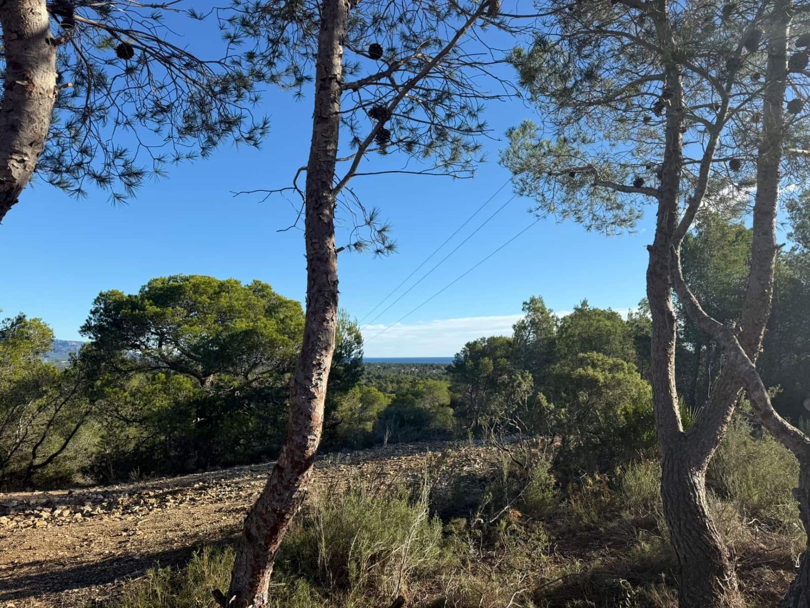 Rakentamaton maa myytävänä paikassa L'Ametlla de Mar - 35 000 € (Ref: 9376696)