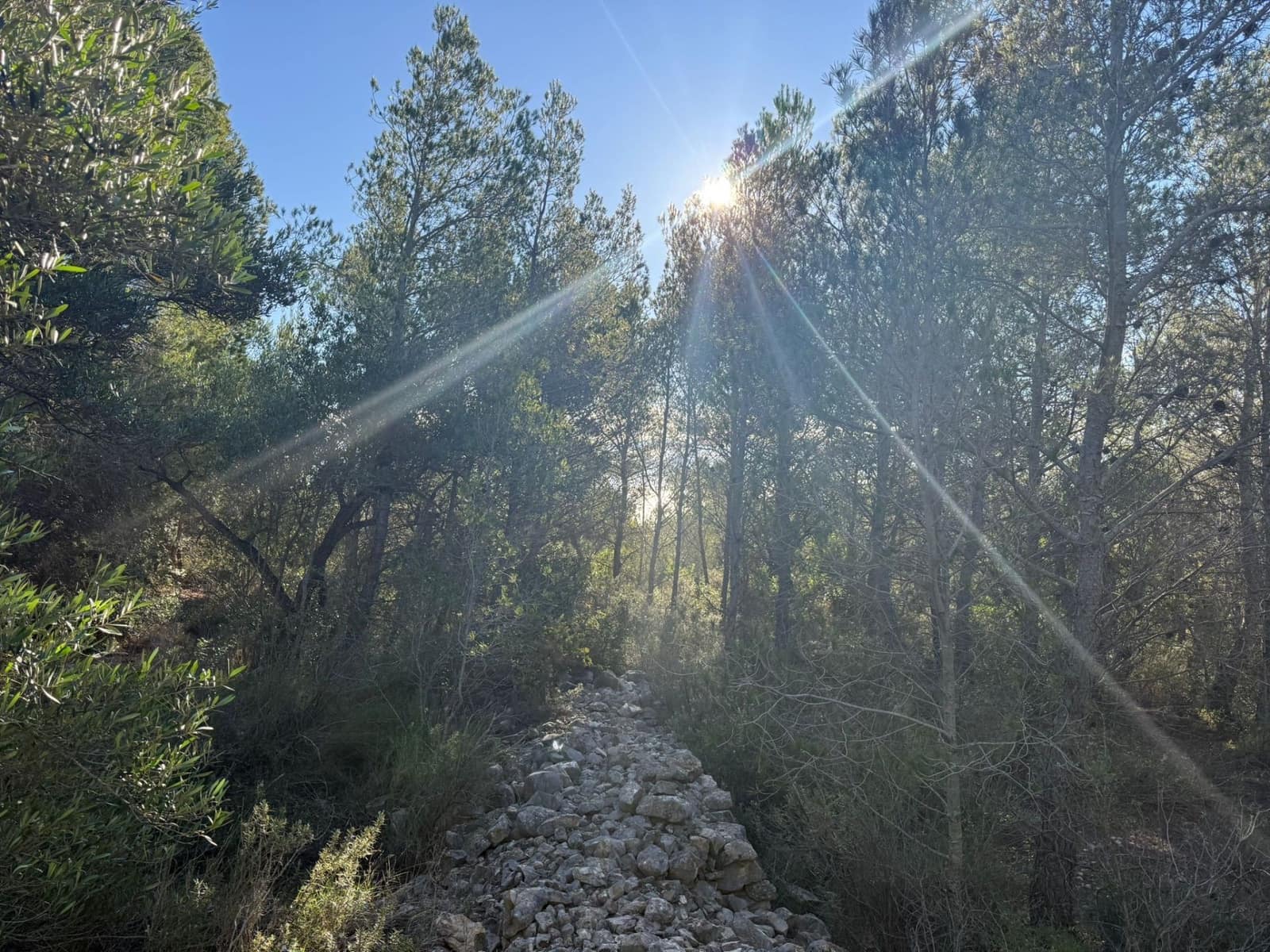 Rakentamaton maa myytävänä paikassa L'Ametlla de Mar - 35 000 € (Ref: 9376696)