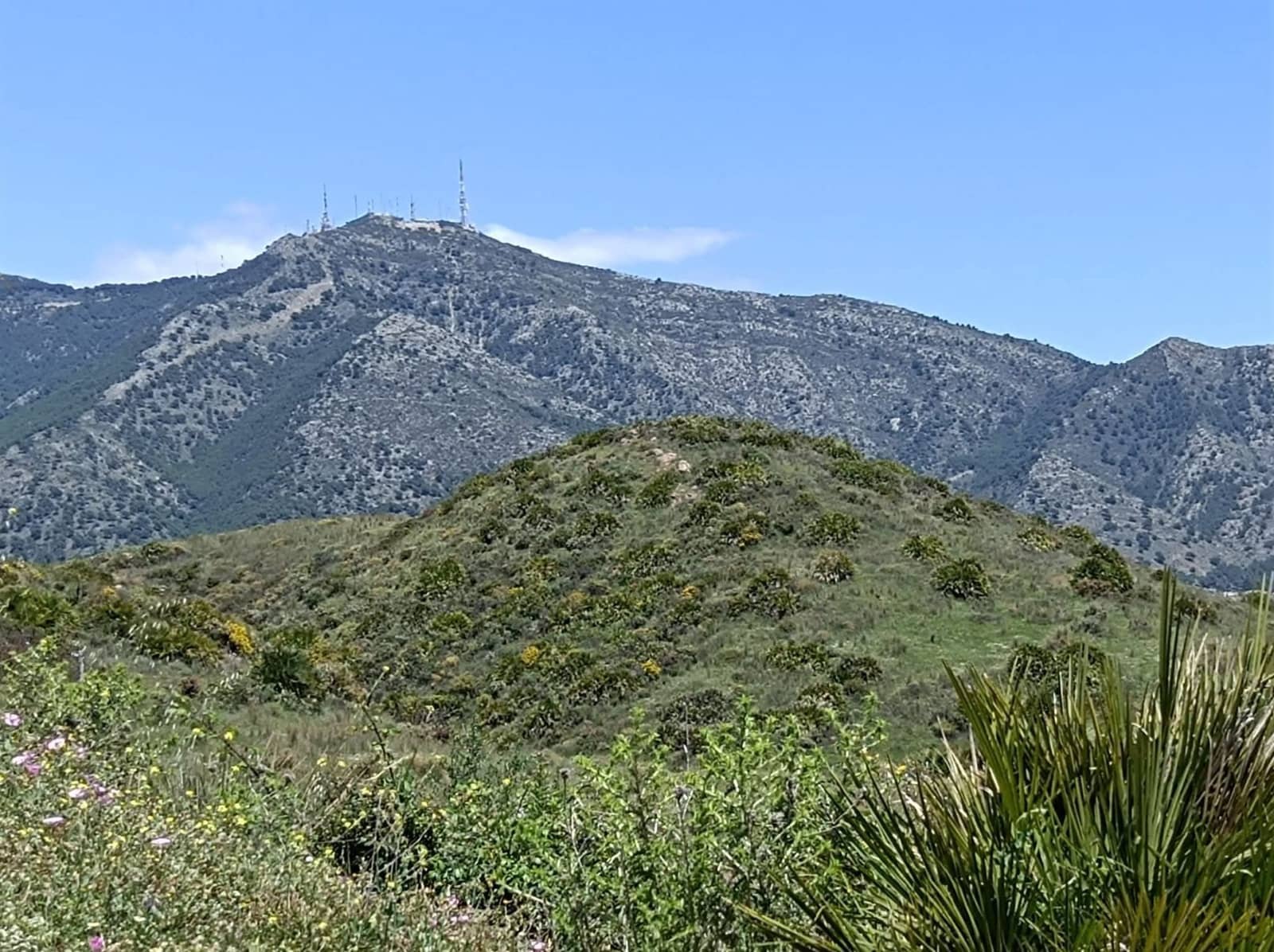 3 chambre Villa/Maison à vendre à Mijas avec piscine garage - 1 550 000 € (Ref: 9393260)