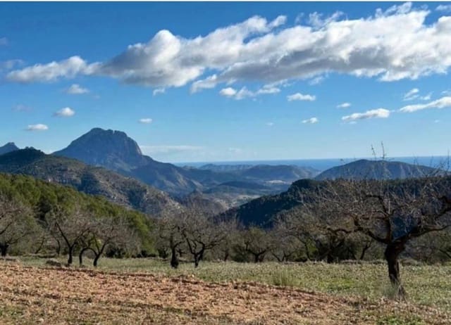 Finca/Casa di Campagna in vendita in Relleu - 550.000 € (Rif: 9451668)