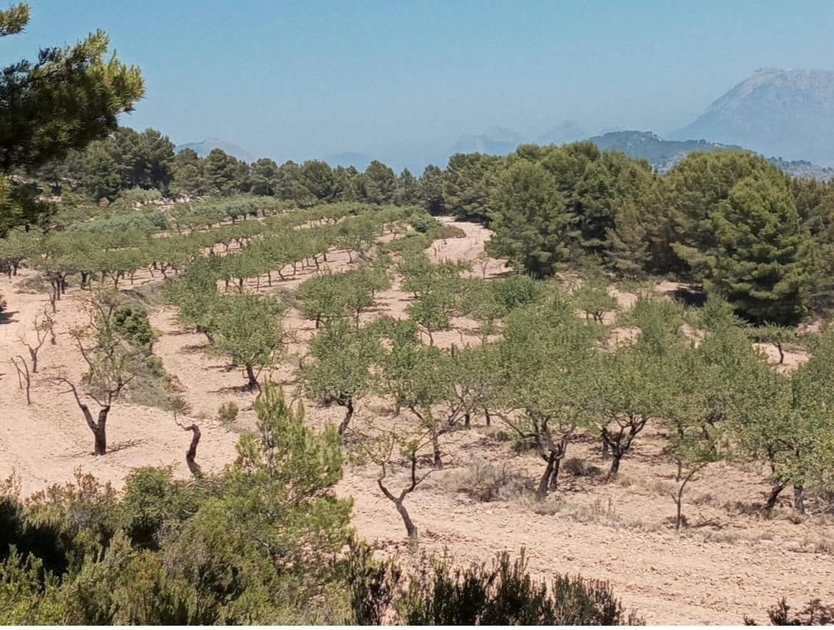 Finca/Landhuis te koop in Relleu - € 550.000 (Ref: 9451668)