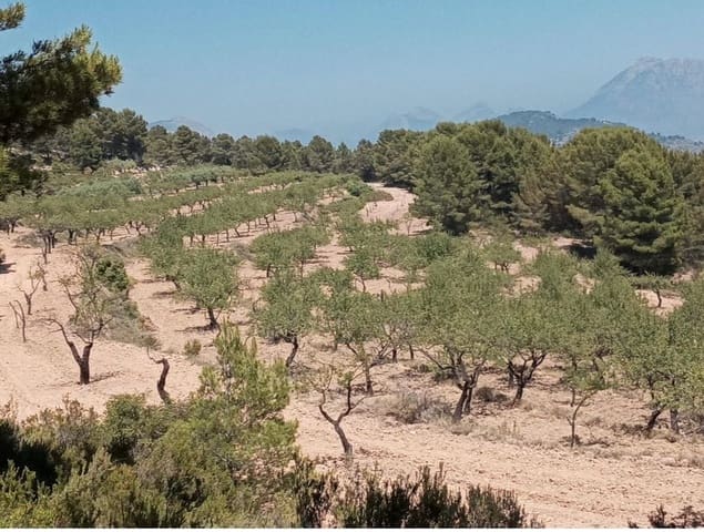 Finca/Landhuis te koop in Relleu - € 550.000 (Ref: 9451668)