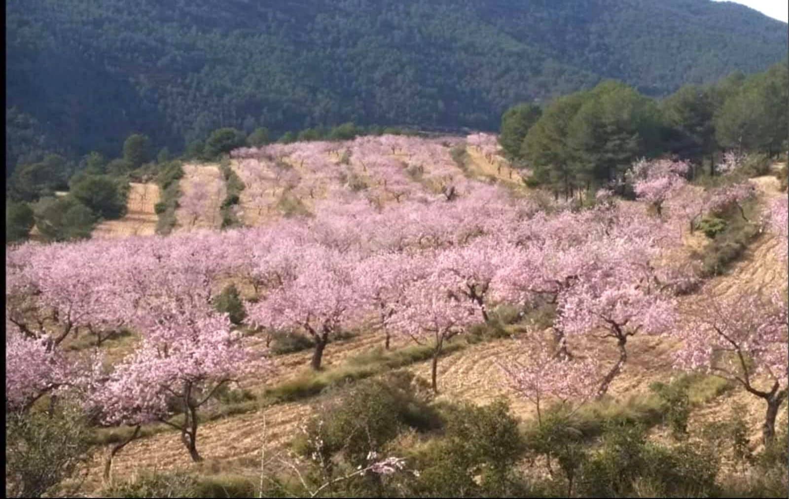 Finca/Landhuis te koop in Relleu - € 550.000 (Ref: 9451668)