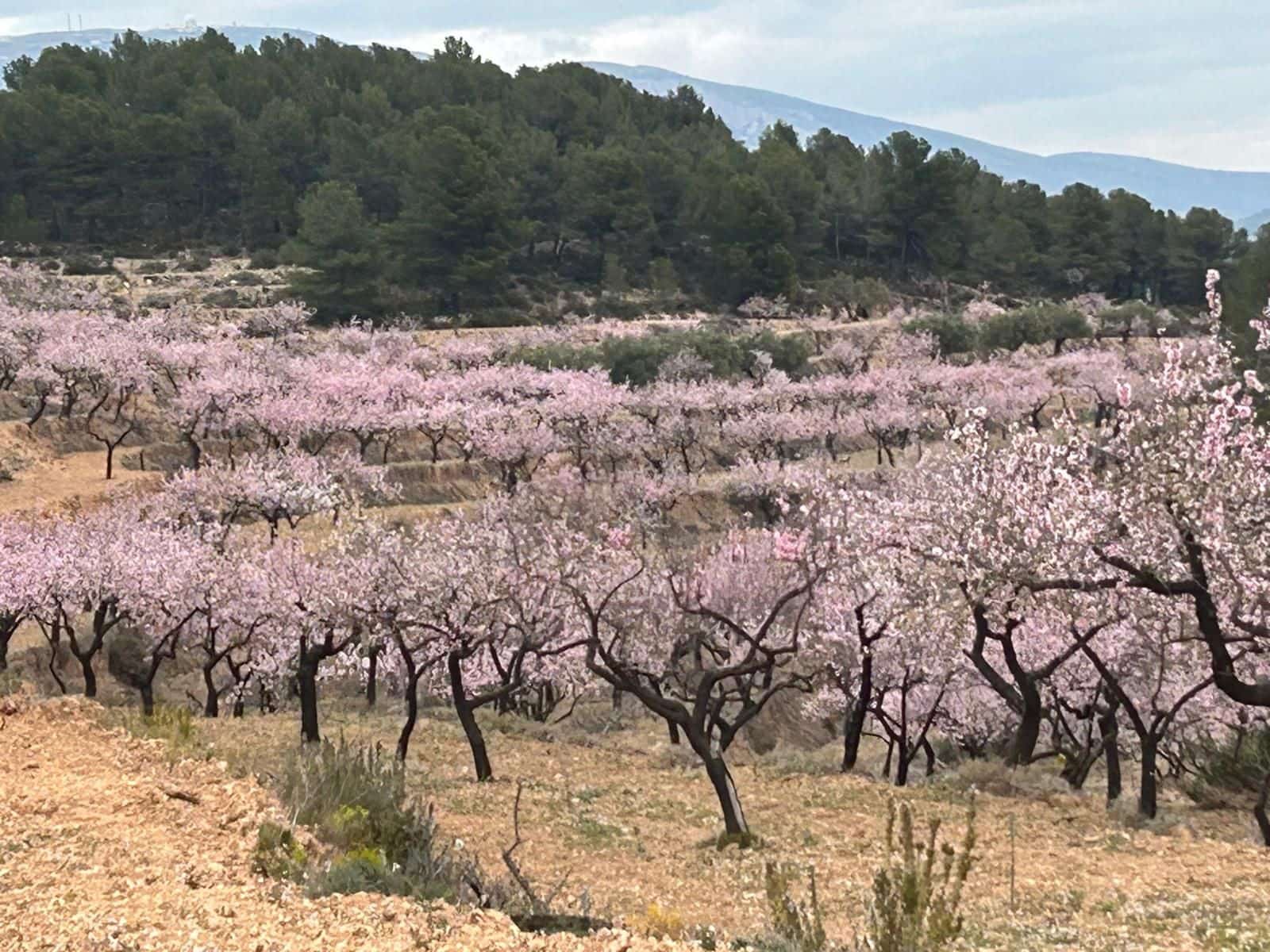 Finca/Landhuis te koop in Relleu - € 550.000 (Ref: 9451668)