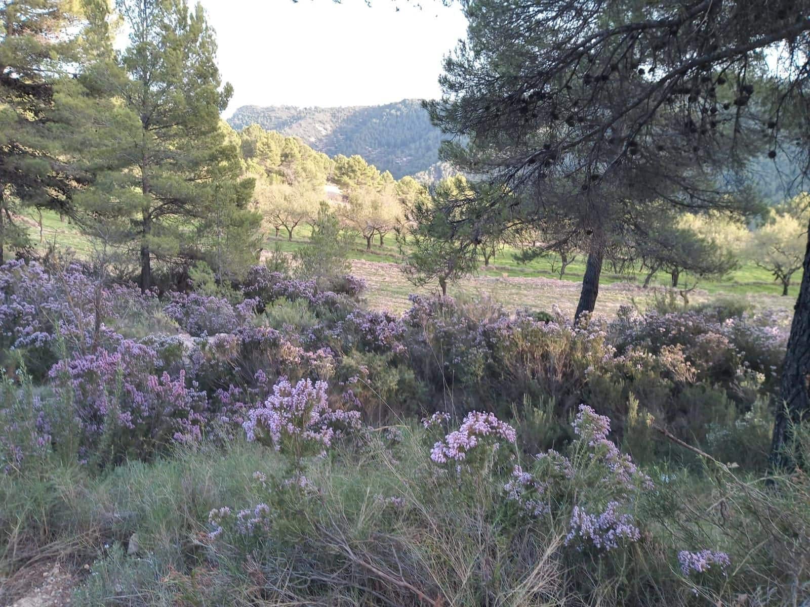 Finca/Landhuis te koop in Relleu - € 550.000 (Ref: 9451668)