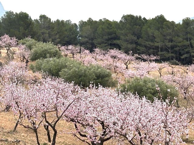 Finca/Landhuis te koop in Relleu - € 550.000 (Ref: 9451668)