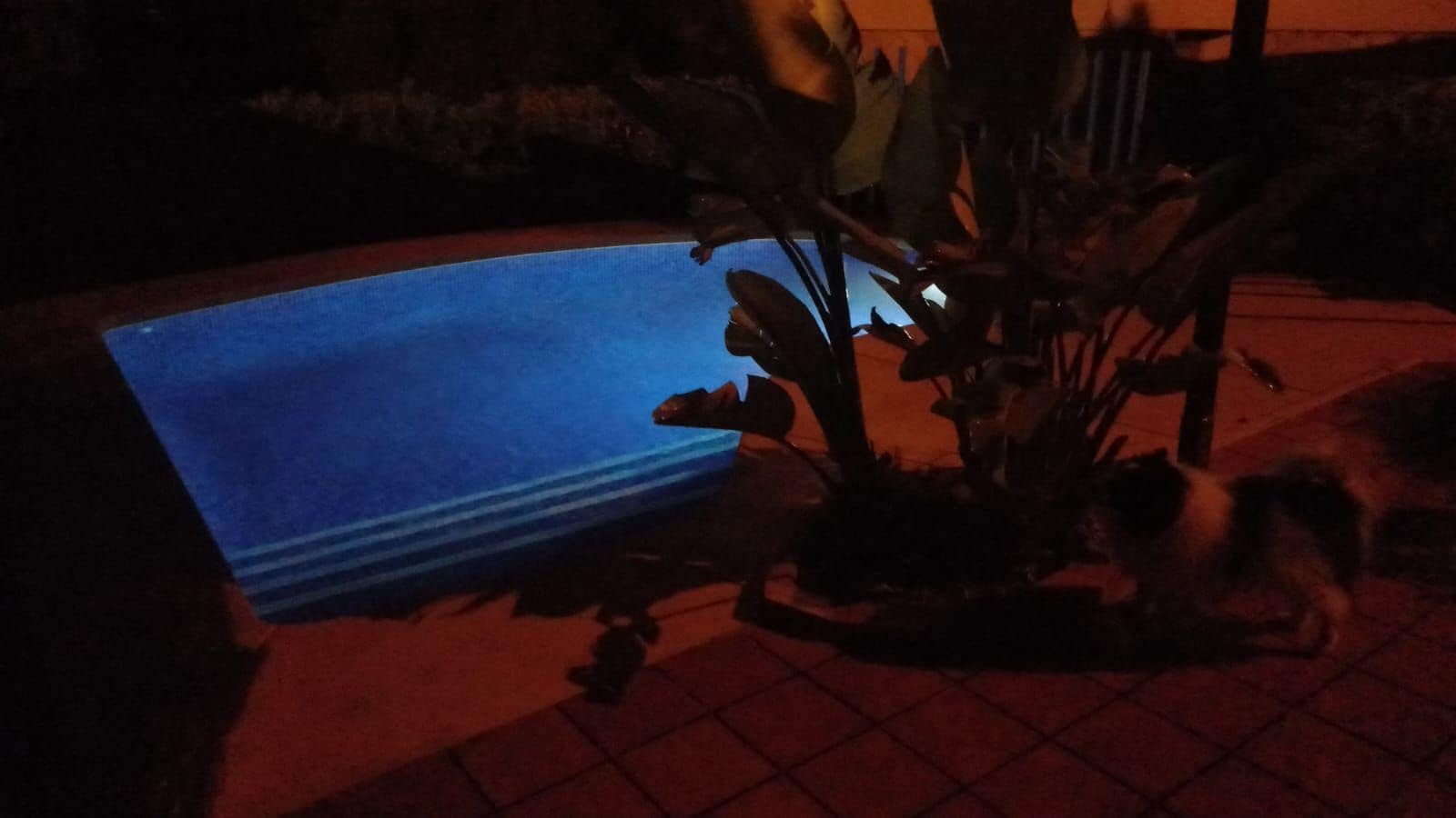 2 bedroom Villa for sale in La Nucia with pool garage - € 450,000 (Ref: 9523991)