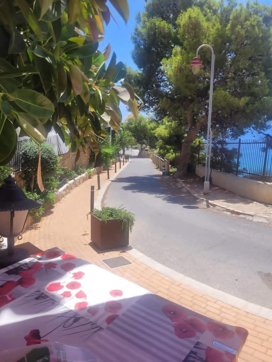 Commercial for rent in Benidorm - € 850 (Ref: 9731688)