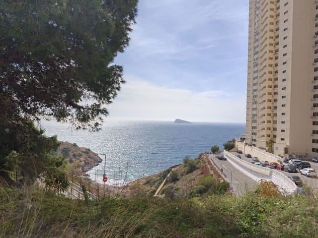 Commerciale da affittare in Benidorm - 850 € (Rif: 9731688)