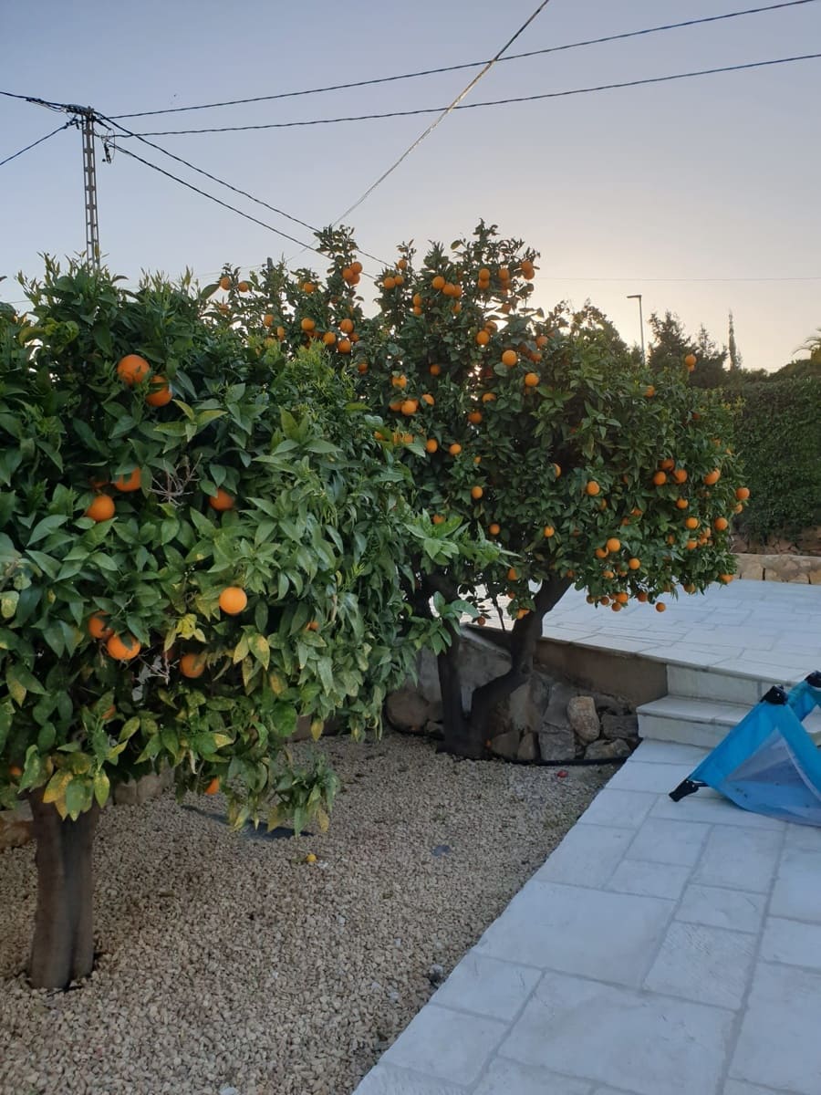 3 bedroom Villa for sale in Alfaz del Pi / L'Alfas del Pi with pool garage - € 530,000 (Ref: 9877922)