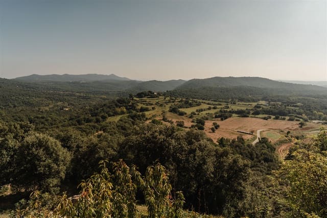 7 sovrum Finca/Hus på landet till salu i Amer - 1 450 000 € (Ref: 7631249)