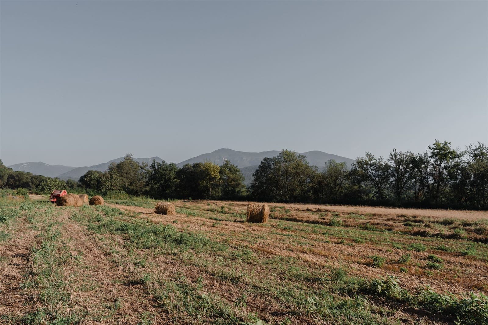 10 soverom Finca/Herregård til salgs i Besalu - € 780 000 (Ref: 8447140)