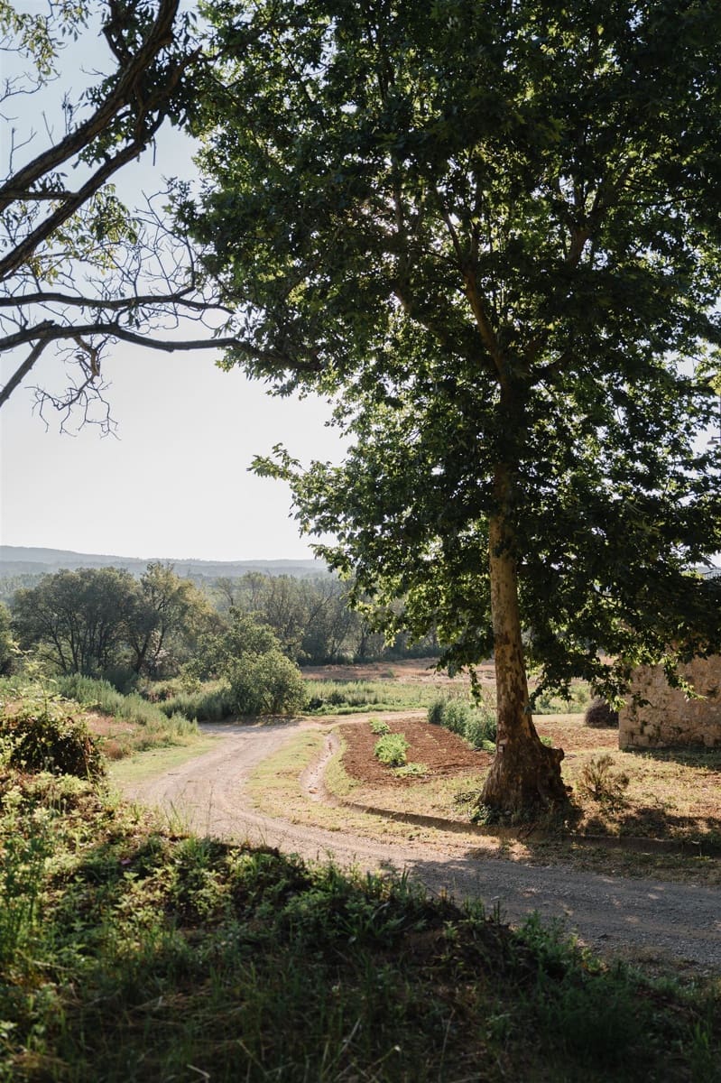 10 soverom Finca/Herregård til salgs i Besalu - € 780 000 (Ref: 8447140)