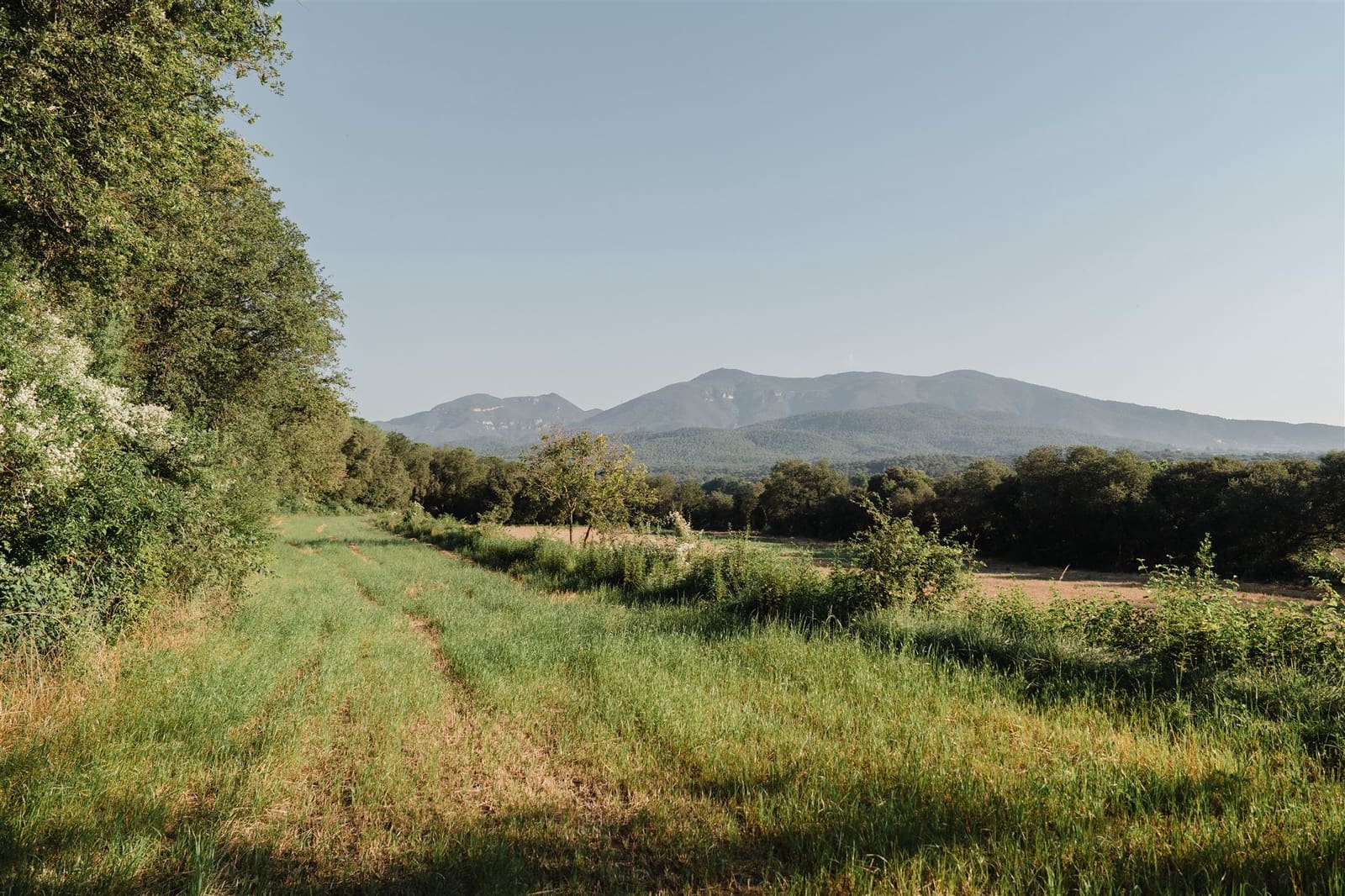 10 soverom Finca/Herregård til salgs i Besalu - € 780 000 (Ref: 8447140)