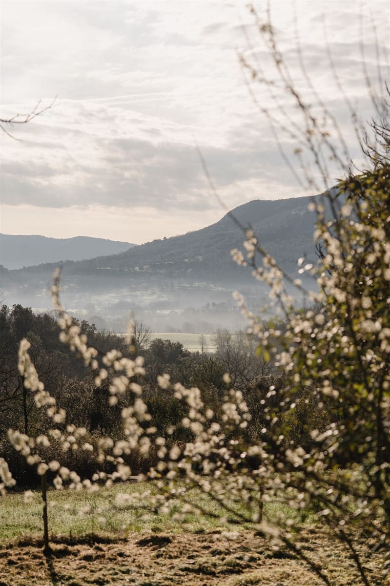 3 soveværelse Finca/Landehus til salg i Mieres - € 660.000 (Ref: 8913543)