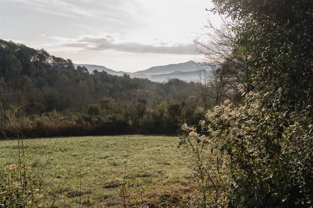 3 bedroom Finca/Country House for sale in Mieres - € 660,000 (Ref: 8913543)