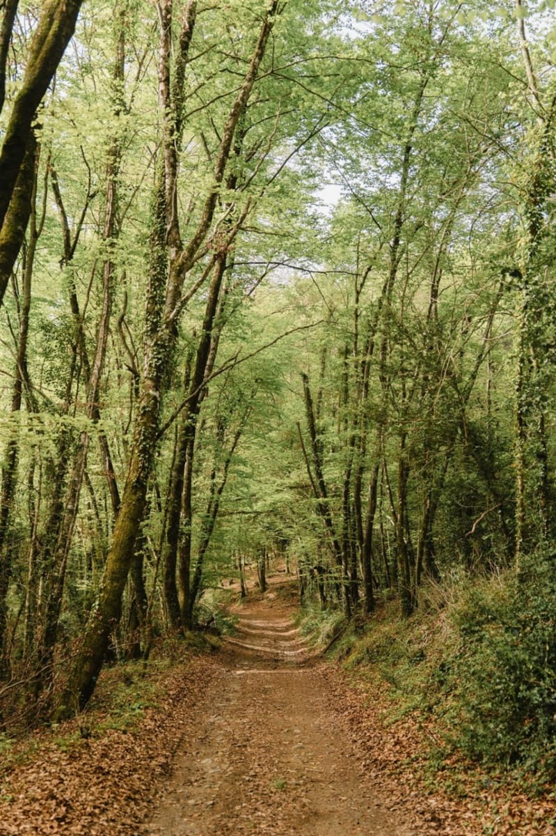 Ruin til salg i Sant Aniol de Finestres - € 975.000 (Ref: 8997319)