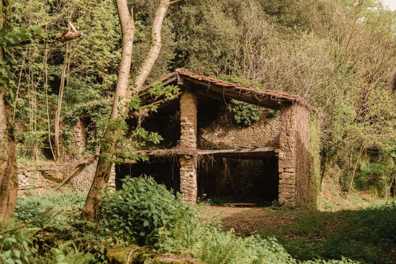 Ruin til salg i Sant Aniol de Finestres - € 975.000 (Ref: 8997319)