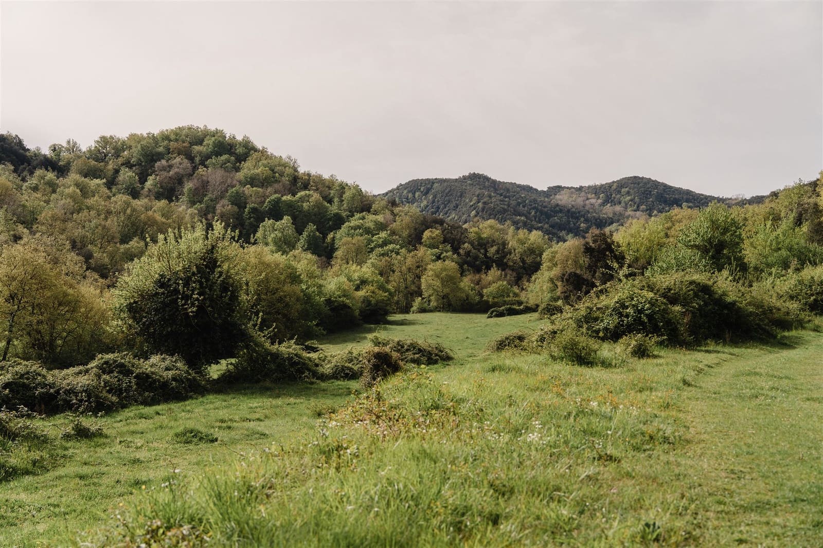 Ruin til salg i Sant Aniol de Finestres - € 975.000 (Ref: 8997319)