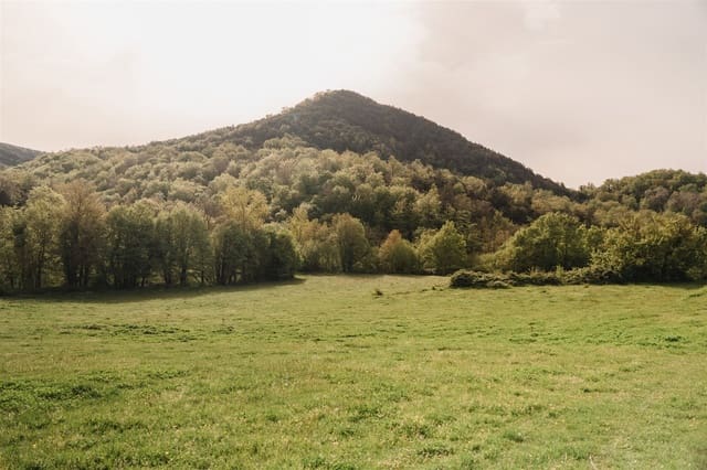 Ruin for sale in Sant Aniol de Finestres - € 975,000 (Ref: 8997319)