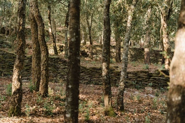 Ruin for sale in Cruïlles Monells i Sant Sadurní de I'Heura - € 220,000 (Ref: 9112668)