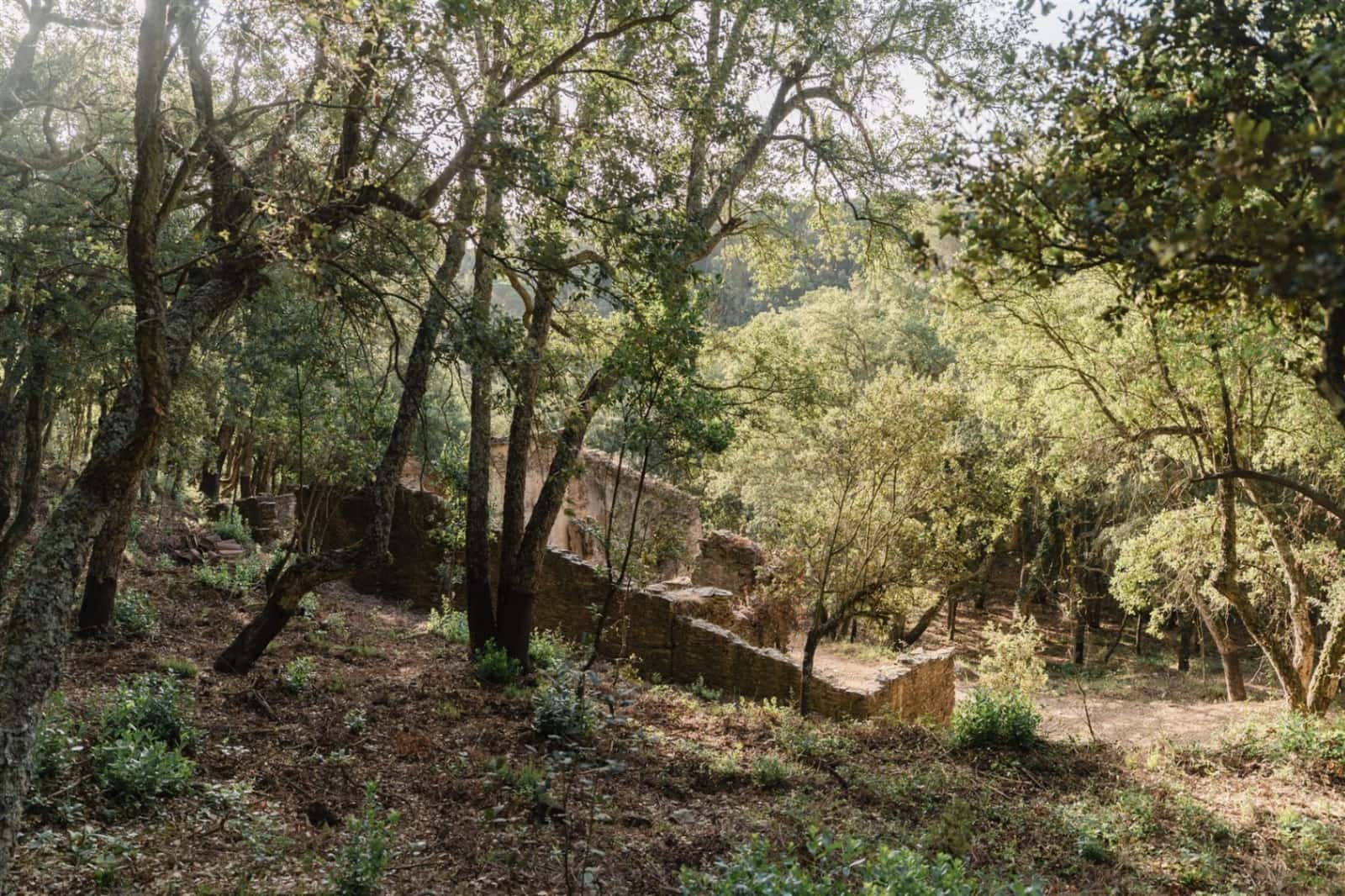 Ruin til salg i Cruilles Monells i Sant Sadurni de I'Heura - € 220.000 (Ref: 9112668)