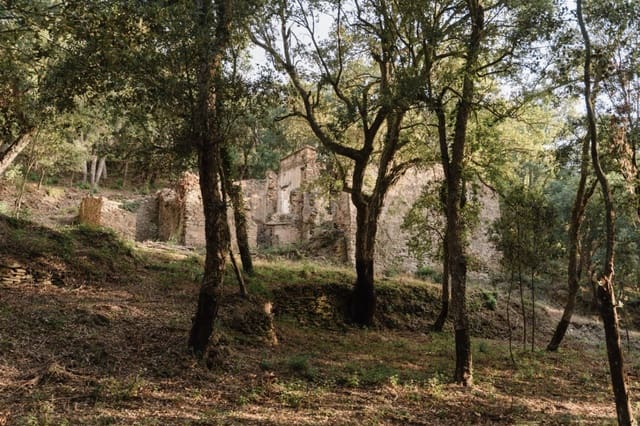 Ruin for sale in Cruïlles Monells i Sant Sadurní de I'Heura - € 220,000 (Ref: 9112668)