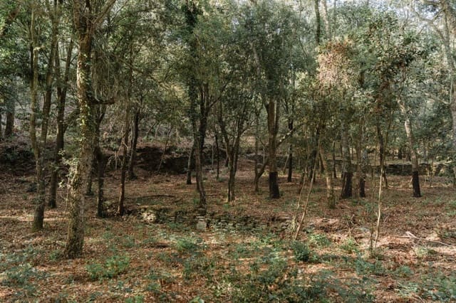 Ruin for sale in Cruïlles Monells i Sant Sadurní de I'Heura - € 220,000 (Ref: 9112668)